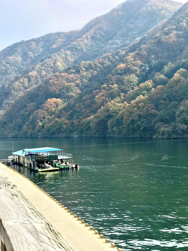 보령여행 고민한다면, 꼭 한번 가보세요!🚘