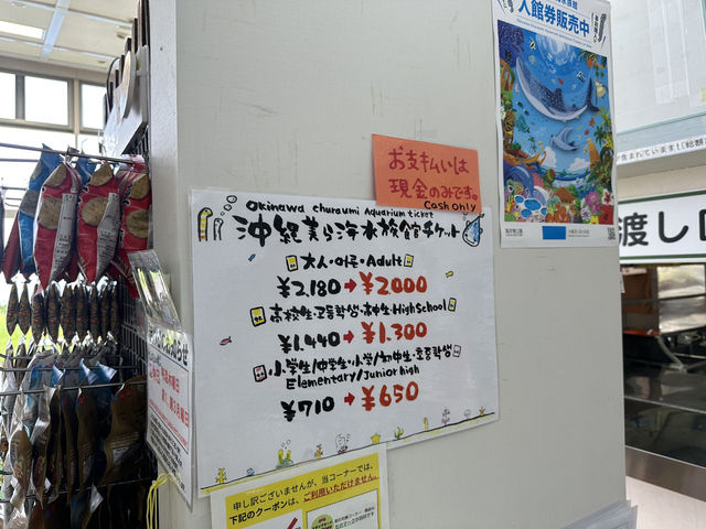 【お得に美ら海水族館へ行こう｜伊芸SAで前売りチケット販売中】