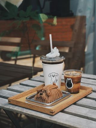 Busan Cafe: Adorable Dog-Shaped Desserts + Meringue Takeaway Cups Are Too Cute to Handle