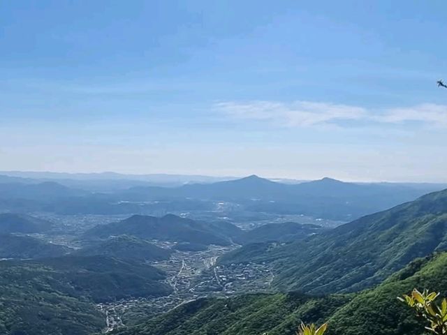 Exploring Ganwolsan Was a Sweet Escape