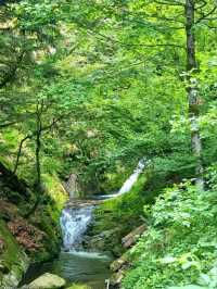Black Forest National Park – Germany’s Enchanted Wilderness