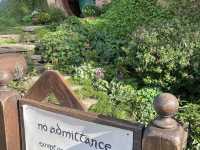 A day in the shire - Hobbiton New Zealand 