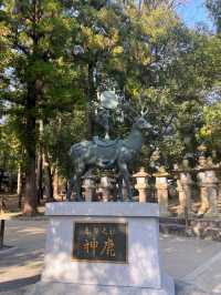 奈良｜春日大社的神鹿與浪漫 細數旗下神秘的壺神神社、拍子神社