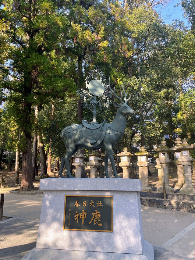 奈良｜春日大社的神鹿與浪漫 細數旗下神秘的壺神神社、拍子神社