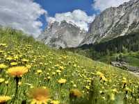 格林德瓦Grindelwald巡禮