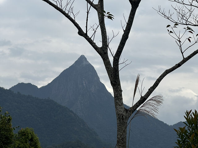 ☁️⛰️No Crowds, Just Clouds: A Quiet Getaway to Jianfengling