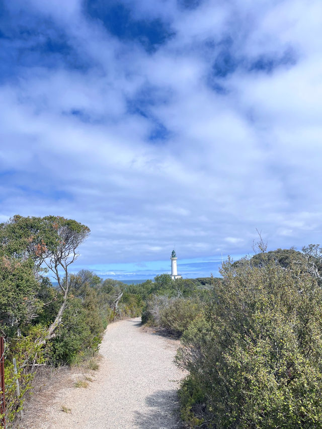 🌊⚓️ Queenscliff Feels Like a Postcard You Can Walk Into