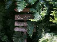 LifeHouse Cafe and Kitchen 