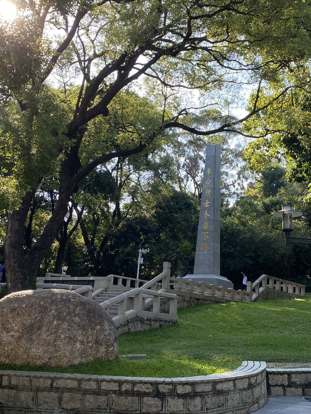 想不到深圳中山公園是這麼吸引的！！