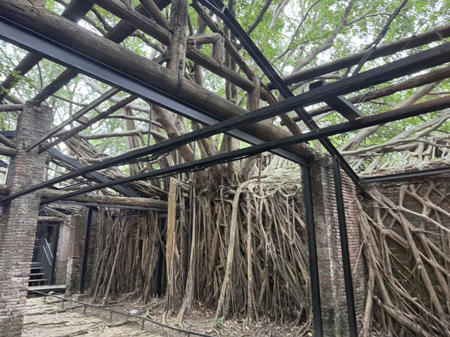 安平樹屋