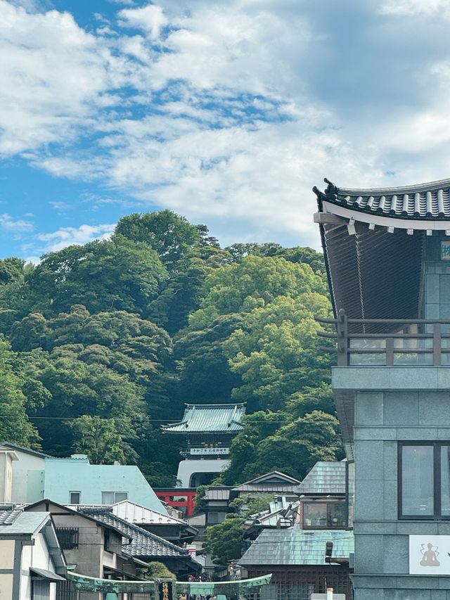 🗻 에노시마에서 후지산 바라보기 ⛩