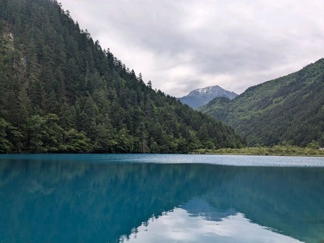Solo Traveller Transportation Guide for JiuZhaiGou from Chengdu!