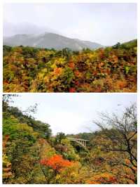 仙台から一泊二日で温泉と🍁もみじ狩り