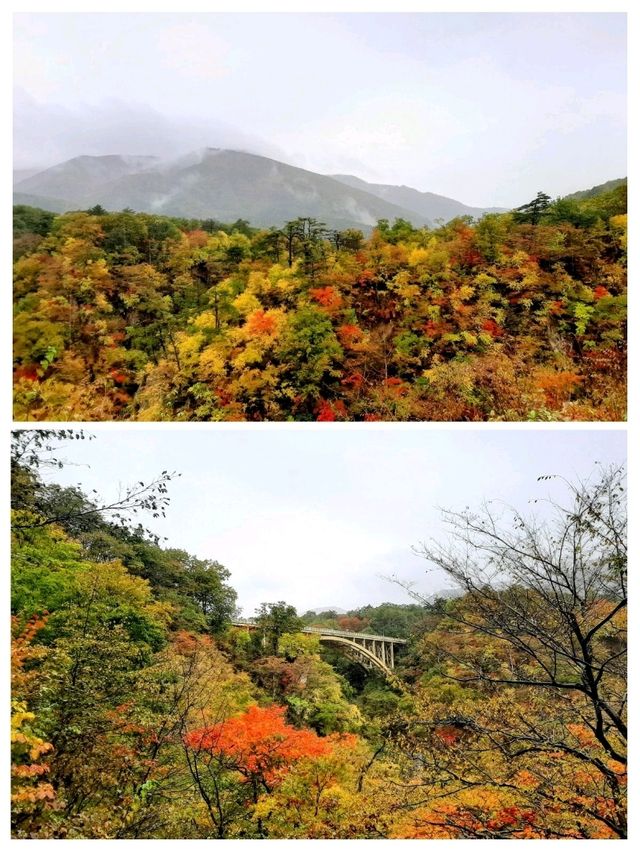 仙台から一泊二日で温泉と🍁もみじ狩り