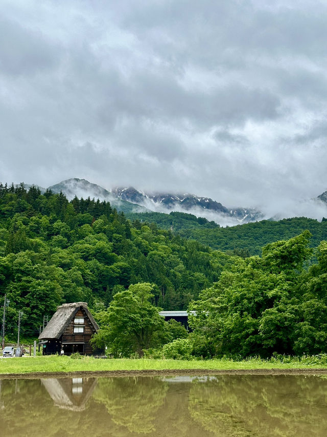 白川鄉之旅