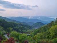 Lost in Nature (and Loving It) at Jirisan Odojae