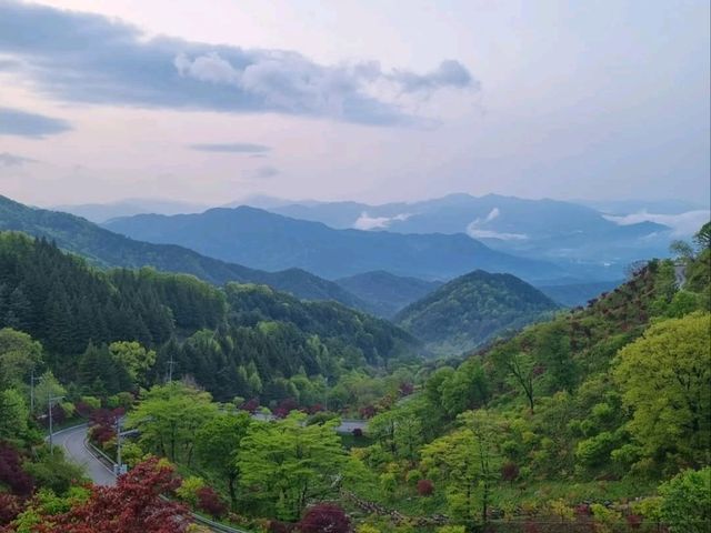 Lost in Nature (and Loving It) at Jirisan Odojae