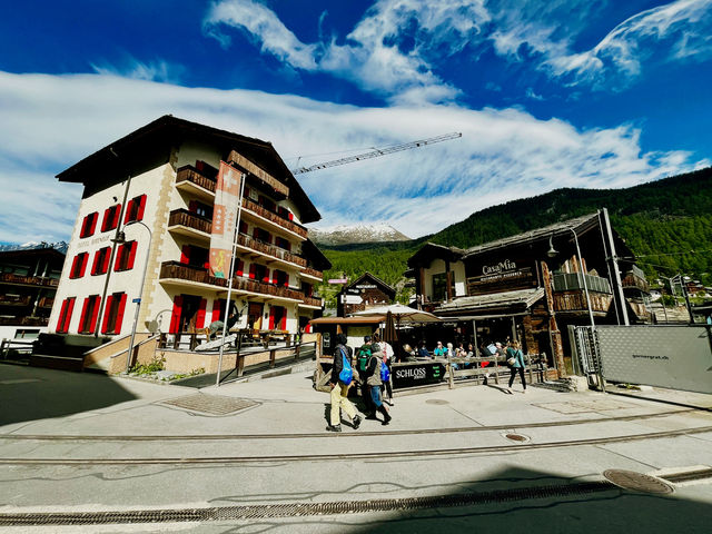 Zermatt Blacknose Sheep – The Cutest Locals in the Alps