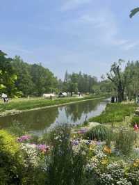 Forest Fun on the Cheap: My Visit to Gongqing Forest Park, Shanghai
