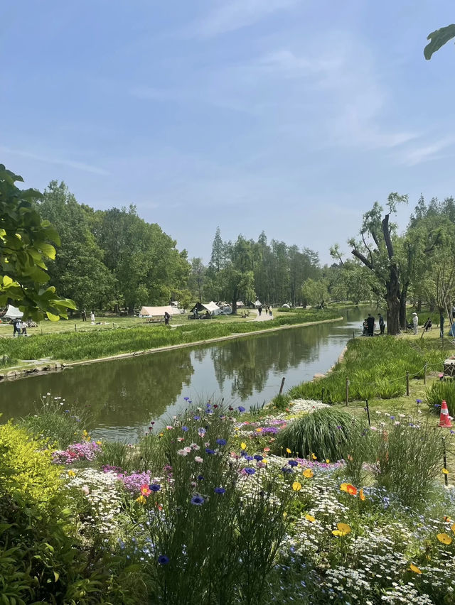 Forest Fun on the Cheap: My Visit to Gongqing Forest Park, Shanghai