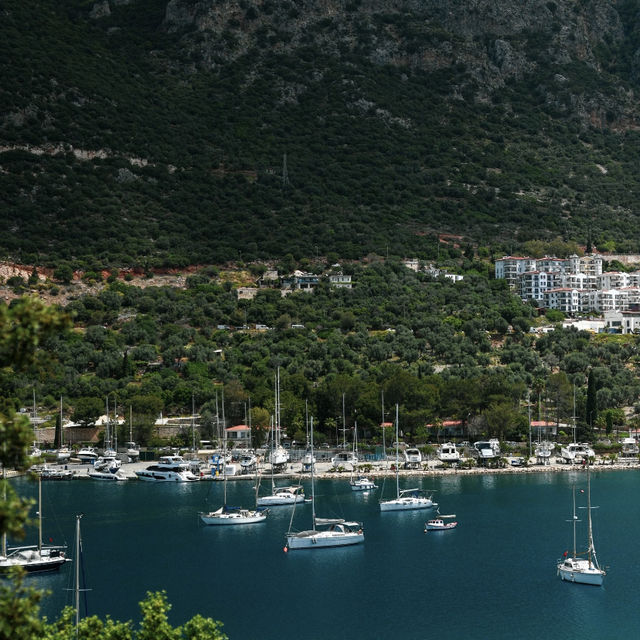 Kaş: The Jellyfish Sea Truly Exists! 🇹🇷🌊