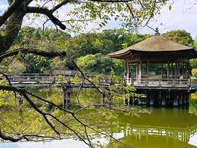一座美麗的六角形建築，屋頂以檜樹皮搭建💕浮見堂