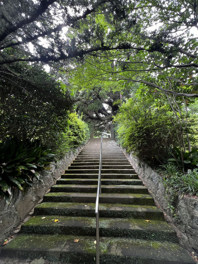 木に会いに行く旅って、ちょっと素敵だと思いませんか？🇯🇵✈️🌎 