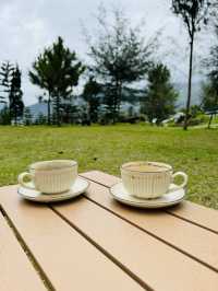 Coffee Under the Pines at The Qiū 