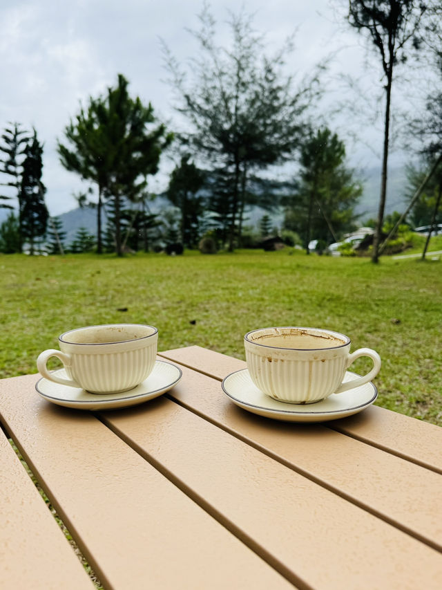 Coffee Under the Pines at The Qiū 