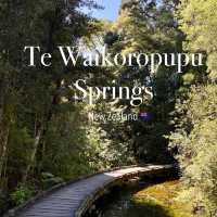 Te Waikoropupu Springs: A Natural Wonder! 💧🌿