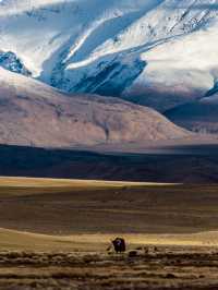 EBC (MT.Qomolangma base camp) 