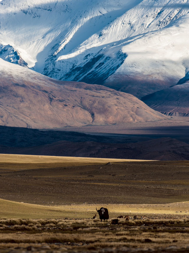 EBC (MT.Qomolangma base camp) 