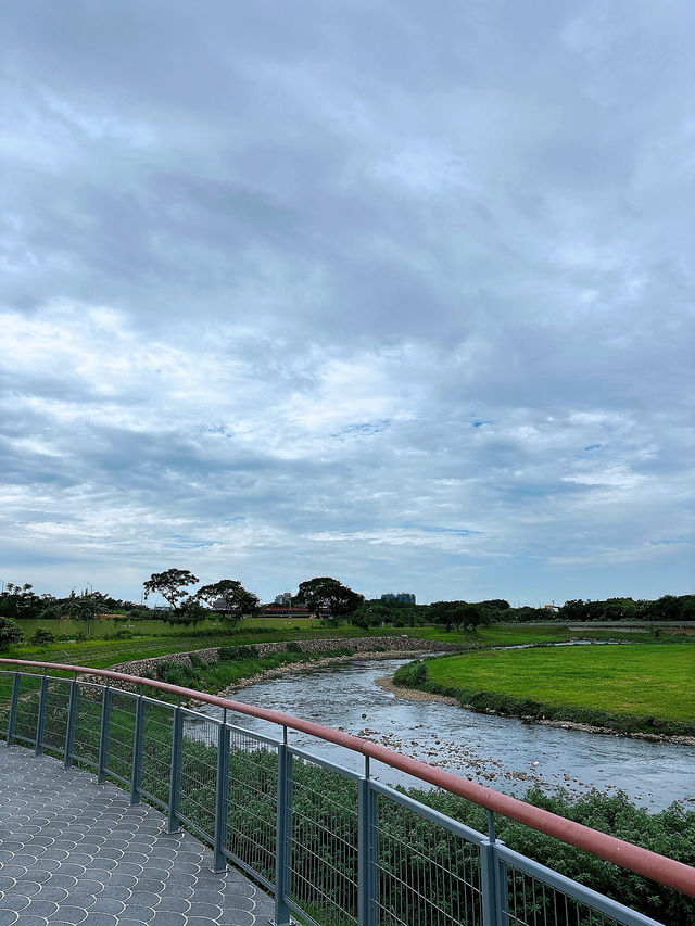 🌿桃園中壢散步秘境｜老街溪自行車道，綠蔭樹下的城市靜旅