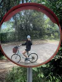 Nature Therapy 🇸🇬✨ Summer getaway to Pulau Ubin