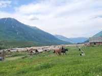 Beautiful summer day in Hemu, Xinjiang