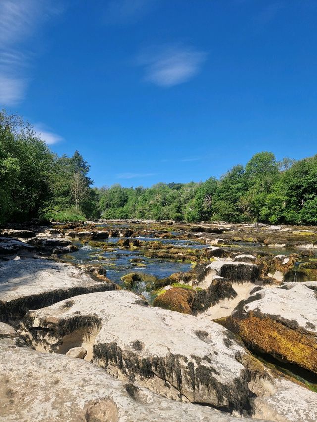 Aysgarth Falls – Nature’s Symphony in the Heart of the Dales