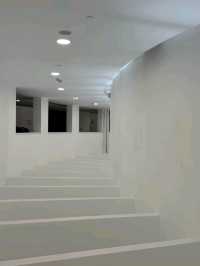 Where Lingnan Brushstrokes Dance with Modern Light