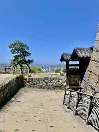 🏯 마쓰야마성 – 에히메현의 살아 있는 역사를 만나다