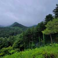 Forest Feels & Quiet Trails, Chukryeongsan Escape