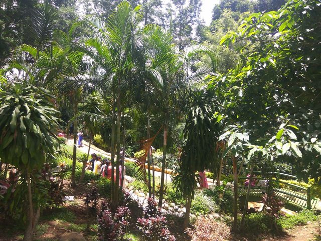 Anna Park Yercaud