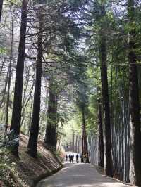 🌳부산에서 제일 아름다운 힐링 숲