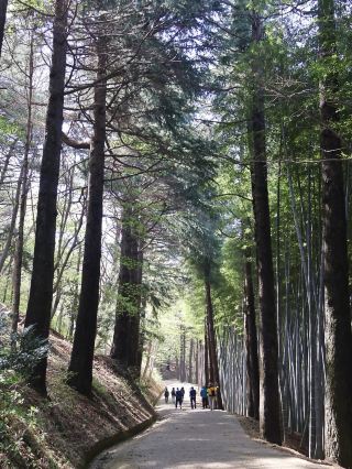 🌳부산에서 제일 아름다운 힐링 숲