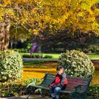 Christchurch Botanic Gardens: Where Flowers Bloom & Ducks Line Up Like It’s Black Friday!
