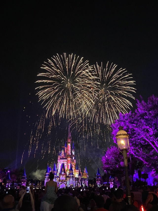 🏰 Walt Disney World – ที่ที่ความฝันกลายเป็นจริง 🌟