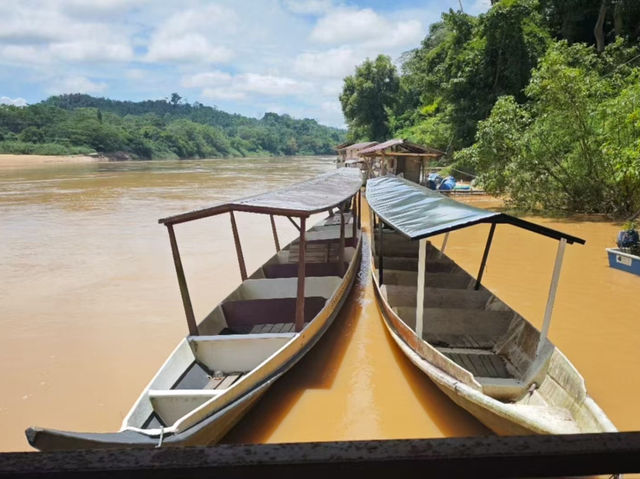 Into the Heart of Taman Negara 🌿⛰️