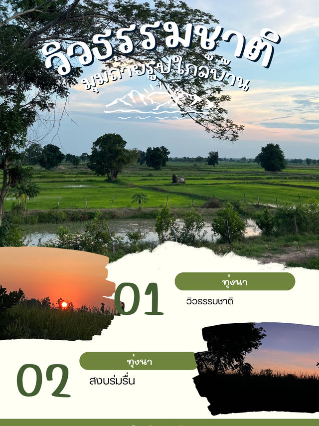 วิวธรรมชาติใกล้บ้าน