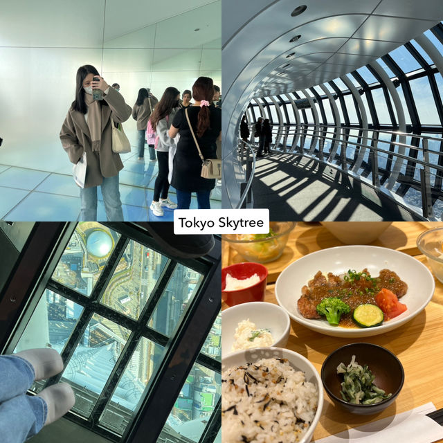 🇯🇵6 แลนด์มาร์กห้ามพลาดในโตเกียวและรอบๆ เมือง! ⛩️