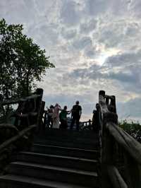 天下山峰何其多  唯有此處峰成林