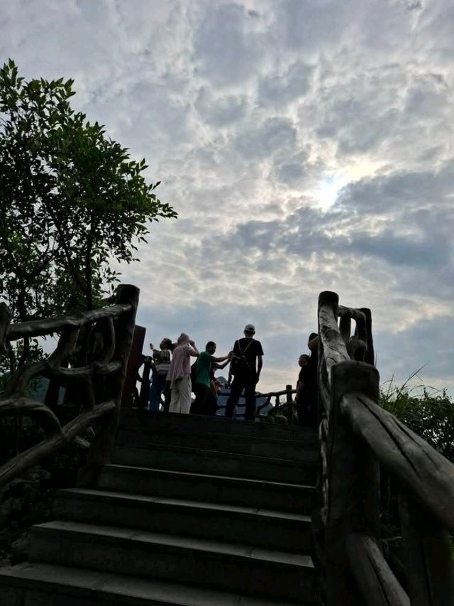 天下山峰何其多  唯有此處峰成林