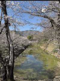 🏯長野・上田城｜真田氏ゆかりの歴史を感じる城跡